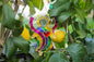 Guardian Angel of Love with Red Heart Glass Wall Art Suncatcher in Multicolored Waves - Handmade Fused-Glass Decor
