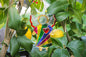 Guardian Angel of Love with Red Heart Glass Wall Art Suncatcher in Multicolored Lines - Handmade Fused-Glass Decor