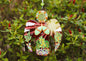 Guardian Angel Glass Wall Art in Red & Green - Handmade Fused-Glass Decor with Vibrant Colors and Intricate Patterns