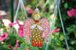 Guardian Angel Glass Wall Art Suncatcher, Gold & Pink - Handmade Fused-Glass Decor with Vibrant Colors and Intricate Patterns