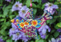 Stunning Bird Glass Wall Art - Purple & Blue Handcrafted Piece