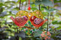 Birds in Love on Heart Glass Wall Art - Handmade, Romantic Decor, 12 cm - Now
