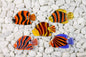 Blue Bright Fish Parrot Glass Fridge Magnet - Hand-Crafted, Hand-Painted, Personalized Tourist Souvenir, 6 x 11 cm